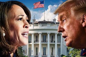 political bettors debate Trump Harris odds